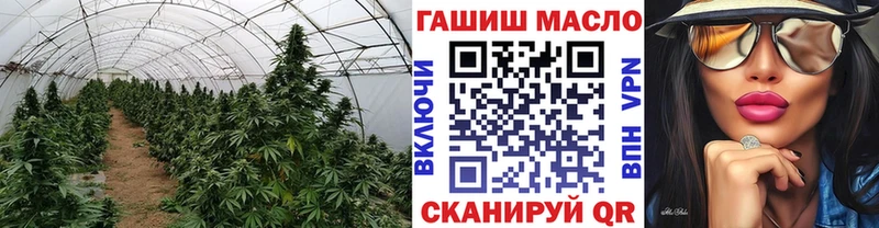 Купить  Мурино  ТГК Wax 